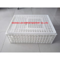Plastic crate for chicken transportation day old chicks transportation for sale